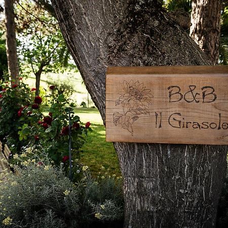 Bed and Breakfast Il Girasole Basciano Exterior foto